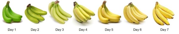 ECRC-banana