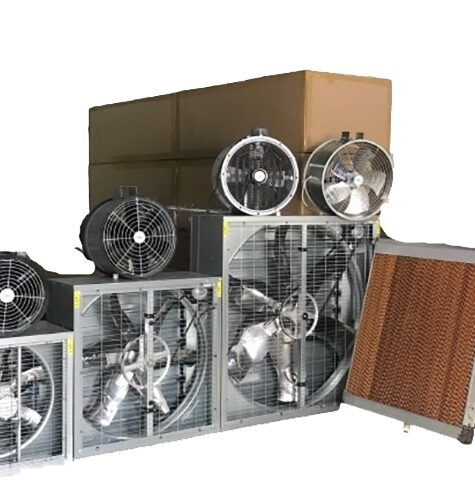 Exhaust Fan web